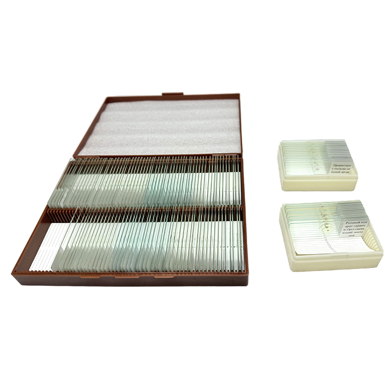 Mikroskopglas biologi utbildning kit, biologi natur