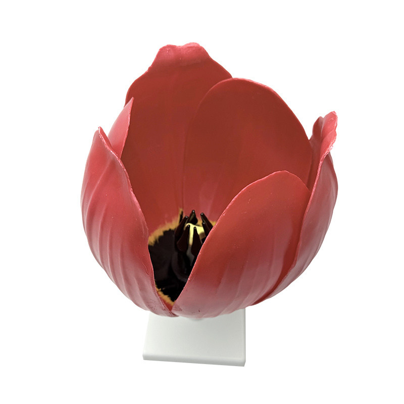 Skolan undervisning yujin doftande blomma modell