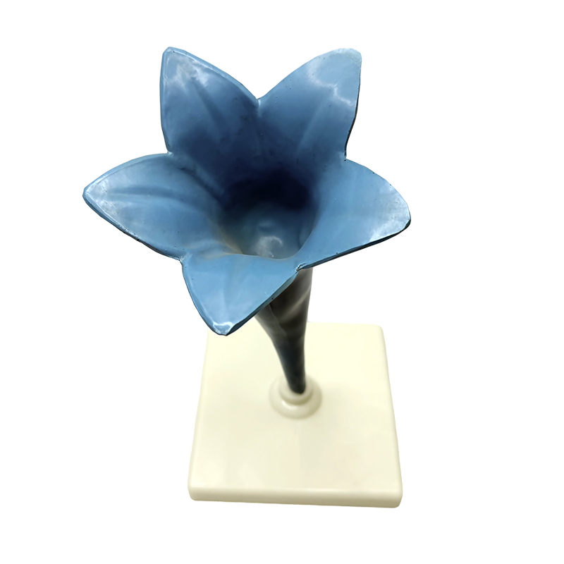 Skolan undervisning yujin doftande blomma modell