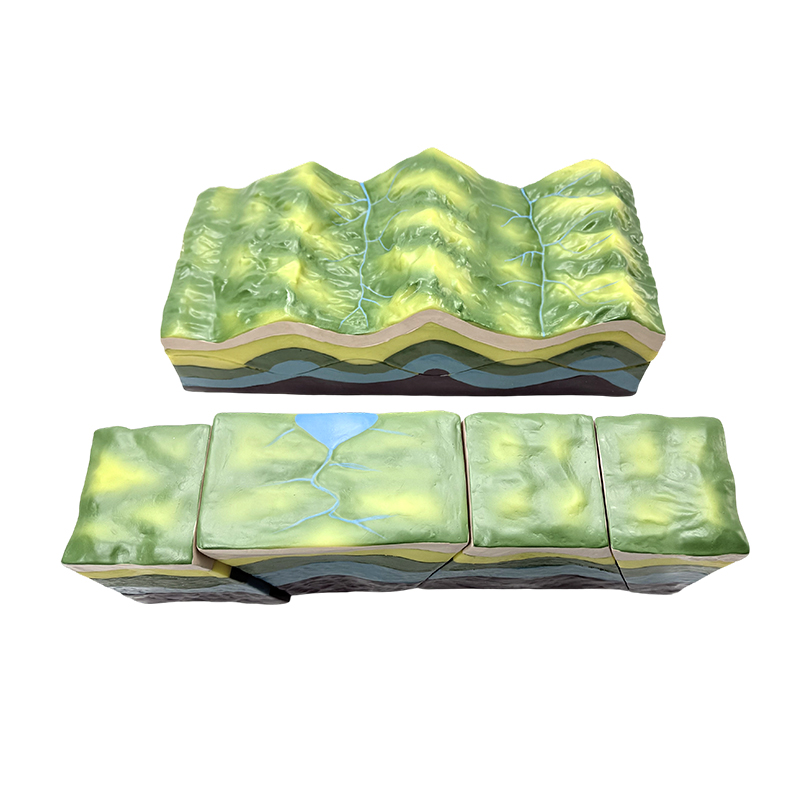 Modell för geologisk undervisning instrument modell felveck geometrisk demonstrationsmodell
